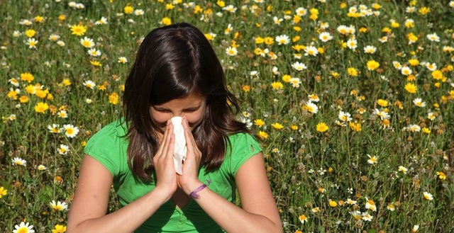 Home Remedies For Hay Fever