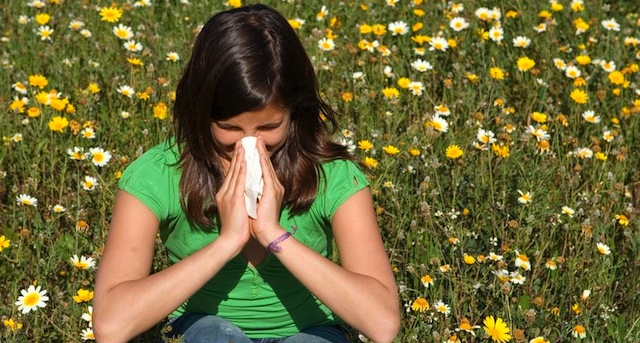 Hay Fever And Homeopathy